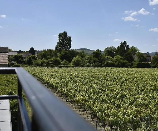 Guest house Manoir Henri Giraud & Ay-Champagne