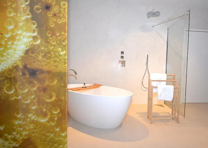 Manoir Henri Giraud & Guest house Ay-Champagne